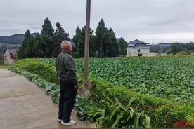 夫妻进城务工十年后回村种地，妻子卷入收割机死亡：日子好过了，她却走了图片