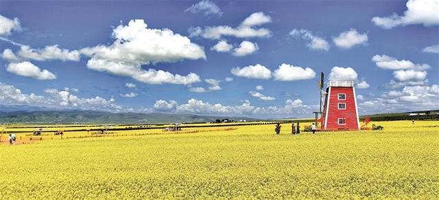 文旅融合的深度实践 ——2025海北州王洛宾音乐文化旅游节综述