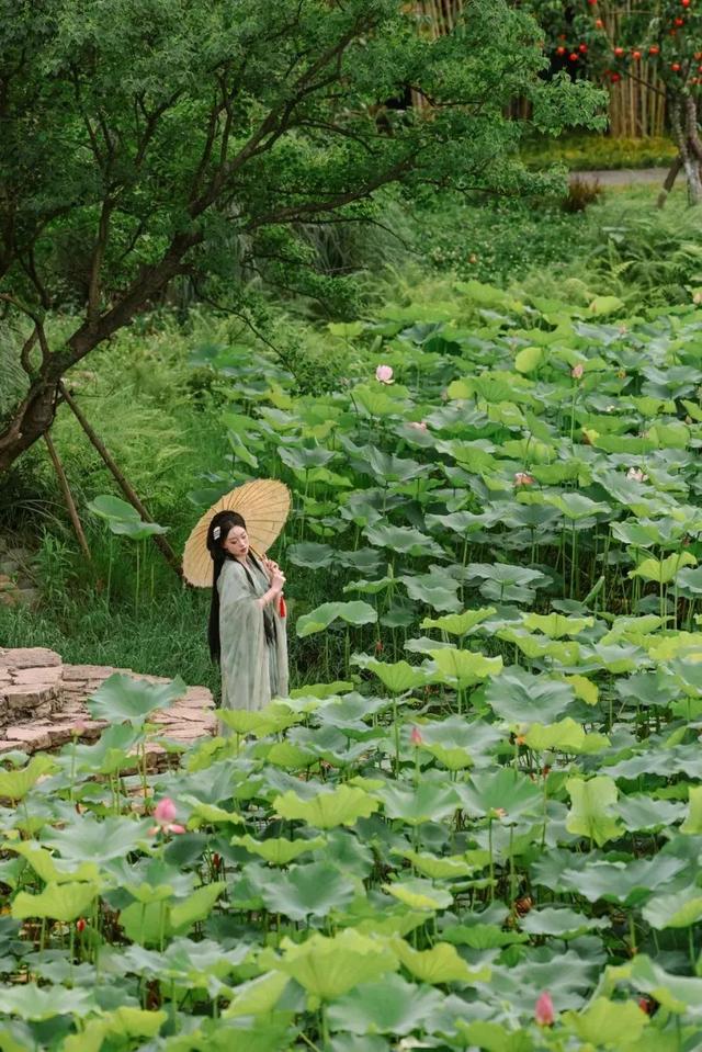 写信告诉我，今天，宜宾的“海”是什么颜色……