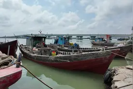 在现场丨防范应对台风“摩羯” 海南渔船回港避风图片