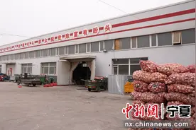 银川兴庆区：乡村小工厂 致富大舞台图片