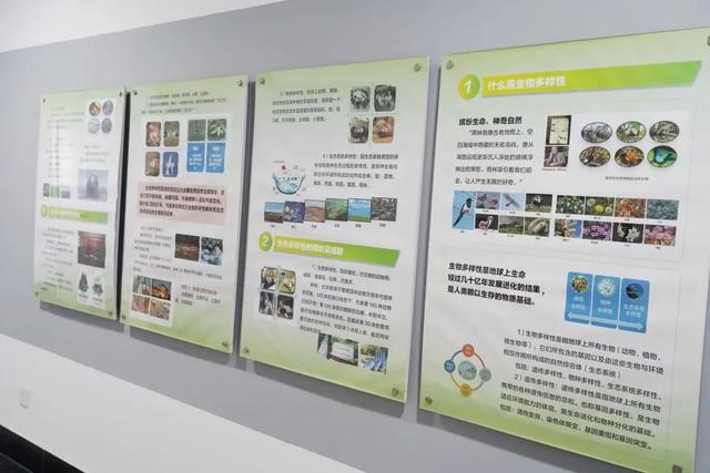 “要我学”变为“我要学”，普陀区环境教育基地可预约参观