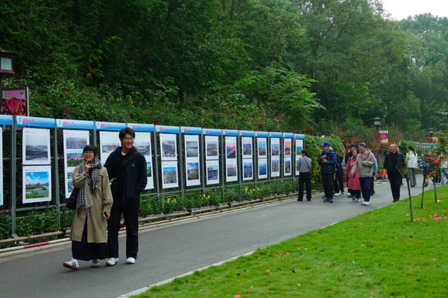 青睐绵阳 ‖ 一城秋色，菊香满园，游仙区富乐山十万香阵花正浓！