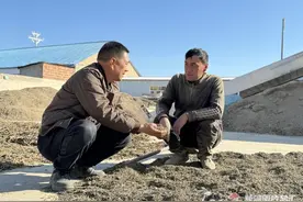 合作社成疆外多家药企供应商图片