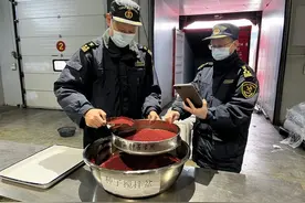 春耕备耕忙  种子通关畅图片