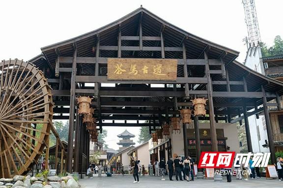 “益”起出发！益阳这5条旅游线路，承包你的精彩旅程