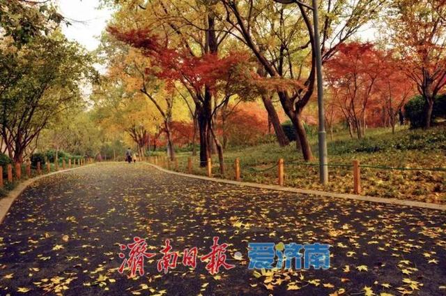 秋色不等人 速来解锁公园景区的N种玩法！
