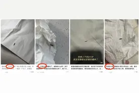 天津出现隐翅虫！毒液堪比硫酸！千万不能用手拍！图片