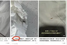 天津出现隐翅虫！毒液堪比硫酸！千万不能用手拍！图片
