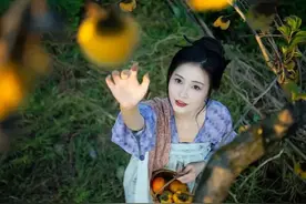 @摄影师 柿子红了，拍照高级有意境！图片