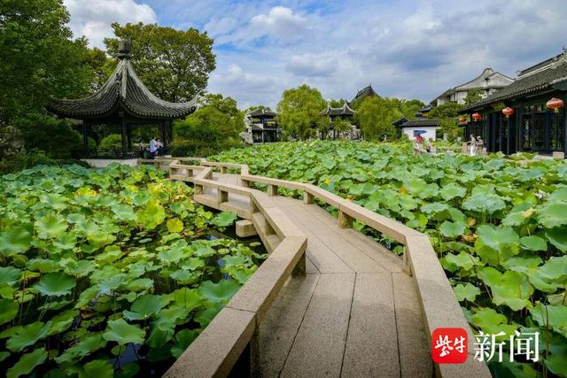 教师专属福利，免费游苏州木渎