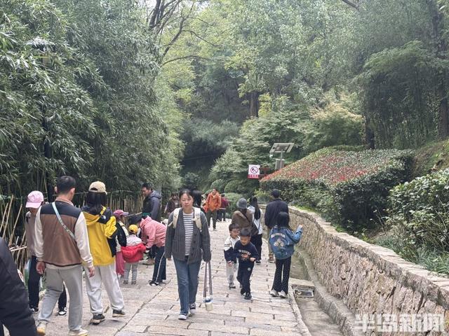 青岛竹子庵：金秋赏景正当时！