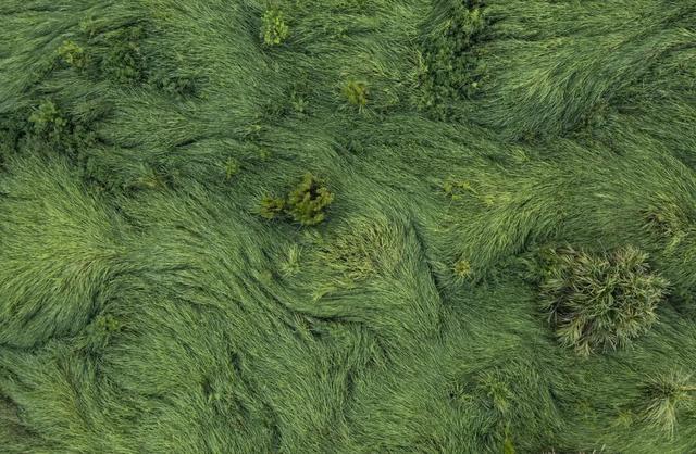 被低估的山水之城，太宝藏了！