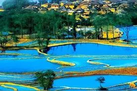 避暑旅居、采菌吃菌、过火把节……就到云南这些地方图片