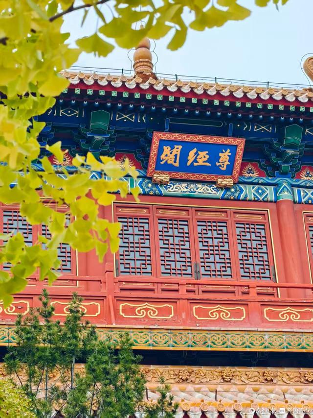 文庙秋韵，金叶叩红墙