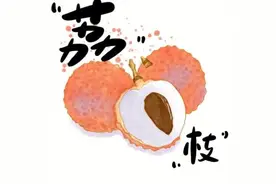 【科普小知识】科学食用荔枝 尽享夏日甜蜜图片