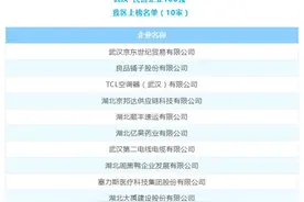 2023年武汉民营企业100强名单发布 东西湖区10家企业上榜图片