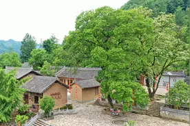 村民家门口杂树“一律清除”， 如何留住乡愁 | 新京报快评图片