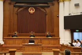 解读“被流浪猫绊倒投喂者赔24万元”案争议焦点：踩到猫了吗？谁该赔偿？图片
