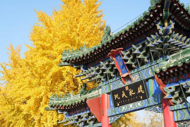 郑州人私藏的8个赏秋胜地！