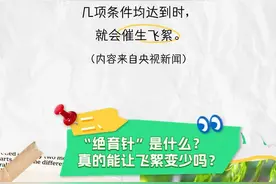 图解｜北京大风吹不走的柳絮，打个“绝育针”就能解决吗？图片