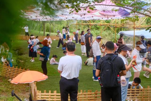 央视报道！国庆假期，日照，嗨到不想走！