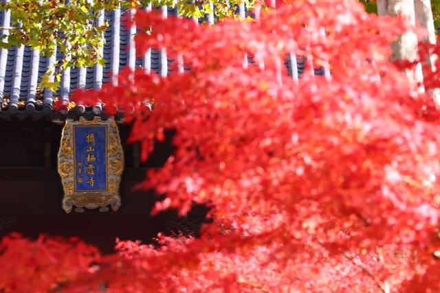 此时此刻，最美的栖霞山！