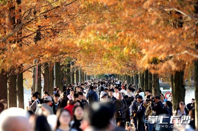 又是艳阳天，打卡人如潮｜组图