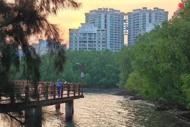 快码住！湛江这些亲水地，浪到不想回家