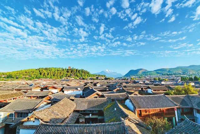 拥抱一段“夏凉菌香”的美好旅程