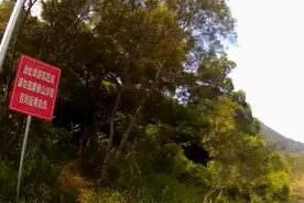 夫妻“任性”爬山走野路被困！这些地方，不要去！图片