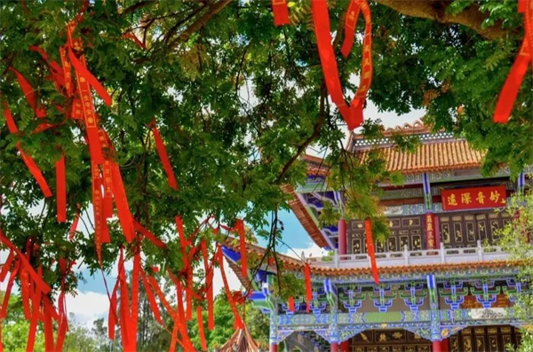 快来石林狮子山，一起解锁风的奇妙形状