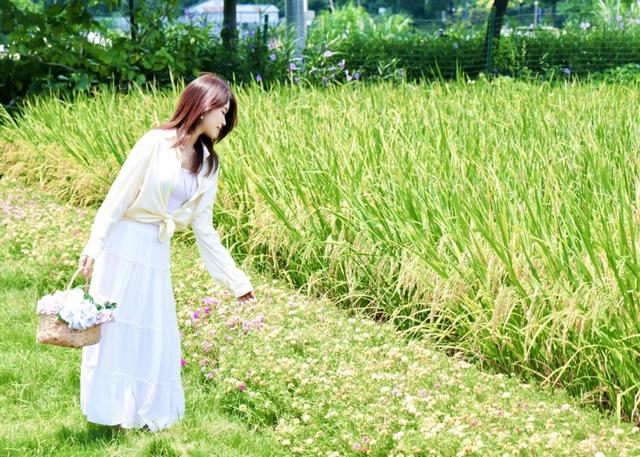门票免费送！0元摘果！暑期“里”游必打卡→