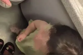 陌生旅客将幼童关飞机厕所“教育”？律师：涉嫌违法图片