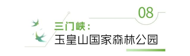 河南“天然空调房”地图上线！快来场“森呼吸”