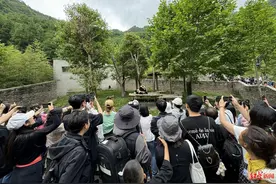 卧龙大熊猫苑神树坪基地：违规携带宠物进入园区，李某某等4人终身禁入图片