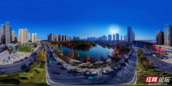 【每日一图@湖南】漫步粟雨湖畔，拾取水杉与冬光合写的暖意篇章