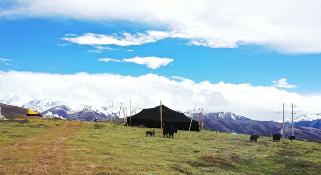 甘孜县的冬天真的太适合慢慢游了！