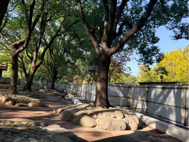 上海市中心又一公园拆除围墙！内藏明城墙和宝藏机位！怎么还有个“灶披间”？