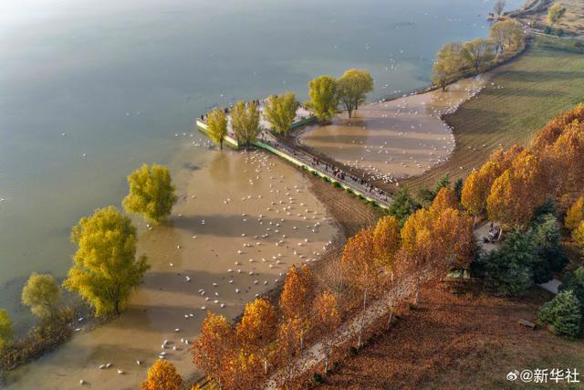初冬里的大美中国