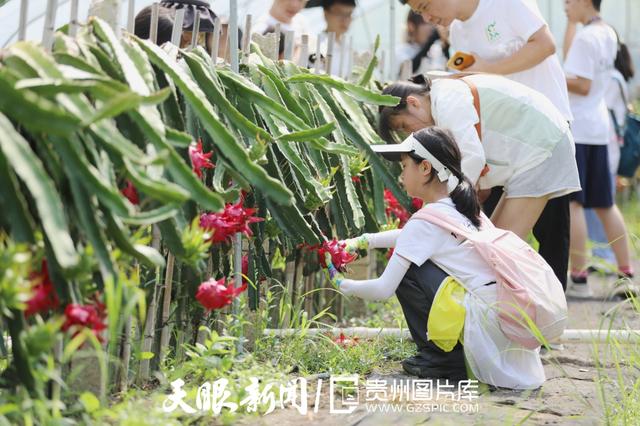 G视觉｜开学倒计时，贵州亲子游避暑游热度不减