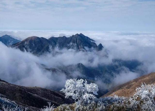 多地下雪！广西限定版“冰雪世界”已上线