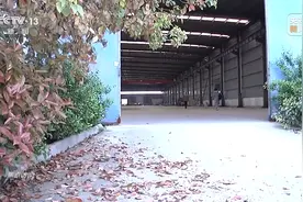 焦点访谈丨招商项目烂尾十年，工厂变农场，原因究竟何在？图片