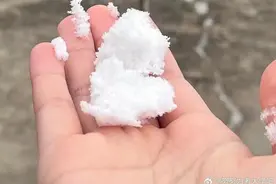 上海人今早朋友圈刷屏！真的下雪啦！这回没白受冻图片