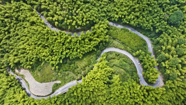 浙江磐安：盘山公路蜿蜒风光美