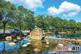 宜昌市夷陵区龙泉镇打出党建引领“组合拳” 助力乡村振兴“加速跑”图片