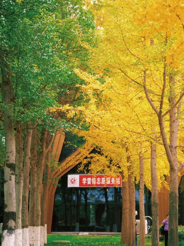 郑州人私藏的8个赏秋胜地！