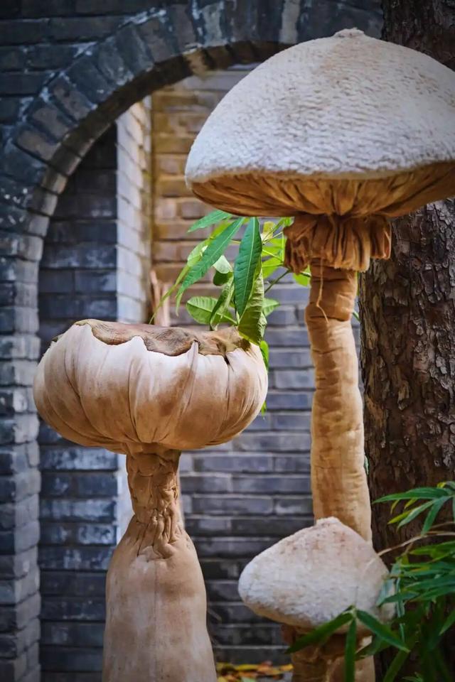 来东城这个胡同小院，邂逅蘑菇精灵的童话秘境——