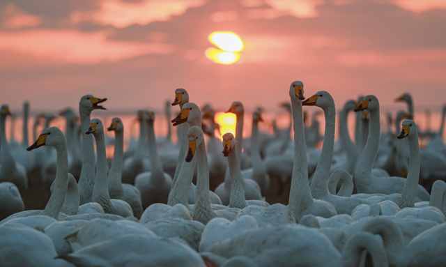 乘着高铁游威海 | 下一站，荣成！