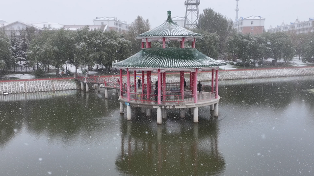 呼玛初雪来袭！最低温降至-6℃